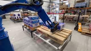 Automatic Case depal & mixed palletizing