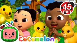 Cody and Cece Meet the Baby Animals!  | CoComelon - It's Cody Time | Nursery Rhymes for Babies