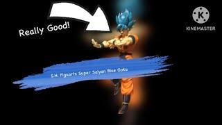 S.H. Figuarts Super Saiyan Blue Goku Review!