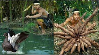 survival in the rainforest - DUCK - CASSAVA