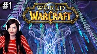 World of Warcraft (Part 1)  Learning World of Warcraft in 2017