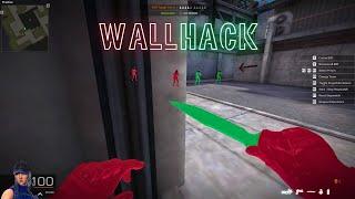 Black Squad Wallhack 2024 | Steam | VFUN/Valofe