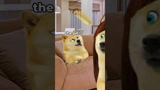 lil doge has trouble swallowing his medicine