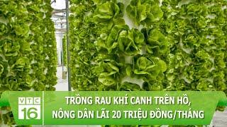 Trồng rau khí canh trên hồ, nông dân lãi 20 triệu đồng/tháng | VTC16