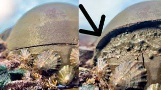 Sloppy Limestone CRACKED For Fossils! 185 Million Years Old (Jurassic) | Fossil Hunter