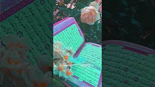 Quran #shortvideo #blog