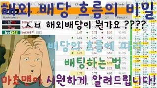 해외 배당 흐름의 비밀!