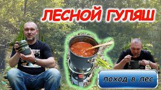 Поход в немецкий ЛЕС и лесной ГУЛЯШ ! ПОХОД ВЫХОДНОГО ДНЯ ! гуляю, рассказываю, готовлю! РЕЦЕПТ!