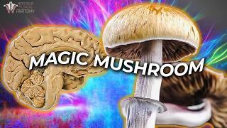 What Psilocybin Does to Your Brain | Can It Improve Mental Health?