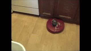 iRobot Roomba with RIDGID Battery Pack Hack