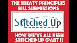 The Treaty Principles Submissions.  How We've All Been Stitched Up