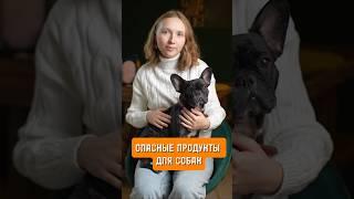 Опасные продукты, которые нельзя давать собакам #собака #дрессировка