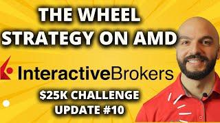 The Wheel Strategy On AMD (Options Trading) // $25,000 Options Challenge #10