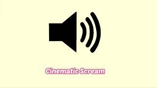 Horror Movie Scream Sound Effect