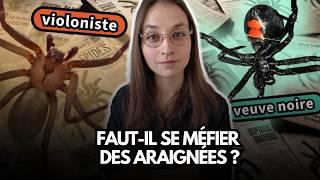 La vérité sur les araignées en France (et en Europe)