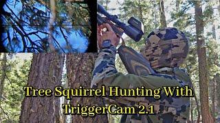 Hunting Tree Squirrels With The TriggerCam 2.1 | Tua Naag Ncuav Nrug Lub Koob Tshab