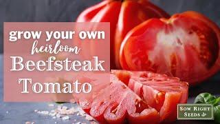 Sow Right Seeds | Beefsteak Tomato