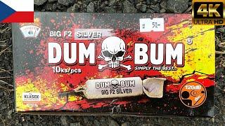 Dumbum Big F2 Silver (Klasek) [4k/60Fps] | PyroLights DE