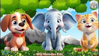 Peaceful Wildlife Sounds: Dog, Elephant, Cat, Penguin - Cute Animals