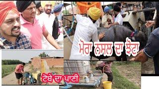 ਮੋਰਾ ਨਸਲ ਦਾ ਝੋਟਾ  ਪਿੰਡ ਵਿੱਚ ਛੱਡਿਆ /  dalvir mahal 735