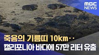 죽음의 기름띠 10km‥캘리포니아 바다에 57만 리터 유출 (2021.10.04/뉴스데스크/MBC)