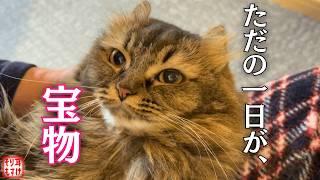 もう一度「平凡な日常」を生きてくれて、ありがとう。