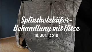 IHD Splintholzkäfer Wärmebehandlung Nürnberg Fürth Erlangen