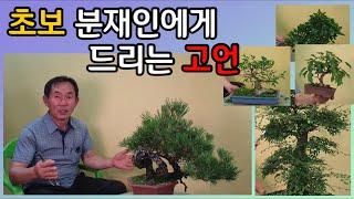 분재관리 216강 초보 분재인에게 드리는 고언