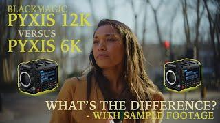 Blackmagic PYXIS 12K versus 6K Comparison. What’s the Difference? - Sample Footage + FREE DOWNLOAD