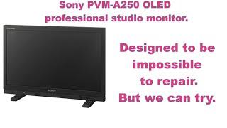 Sony PVM-A250 Professional OLED monitor, unfixable by design.