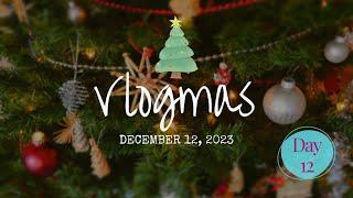 Vlogmas | Day 12 | Dec 12, 2023 | Crochet, Knitting, Hand Dyed Yarn | Avery Lane Creations ALC Yarns