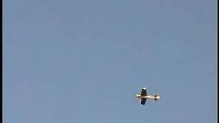 Quique Somenzini 49" Yak 54 ARF