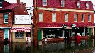 How Rising Seas are Killing Crops on the East Coast | MDF&H