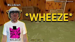 Clips that made Wildcat the funniest member of the Vanoss Crew