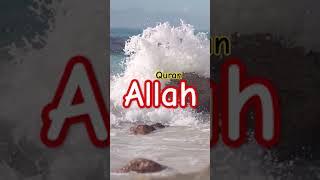 Surah Al Karim Translation urdu #shortfeed #viralvideo #quran #islam
