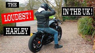 The LOUDEST Harley-Davidson Iron 883 in the UK? This LOUD customised Harley will wake you up! Mental