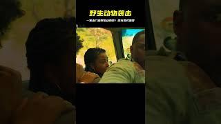 一家子出門游玩 沒想到卻遭到動物襲擊 #电影 #电影解说 #影视 #影视解说 #剧情