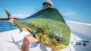 PESCA de Dorado | Fly fishing for Mahi in Puerto Vallarta, Mx,