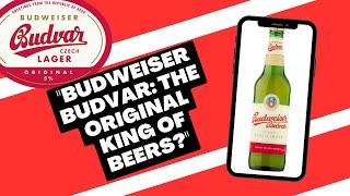 BUDWEISER BUDVAR - Czech Lager Beer Review! #beer #beerreview #beerlovers #czech #supermarket