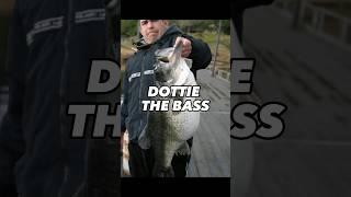 BASS JOURNALISMING: DOTTIE #bassfishing #fishing