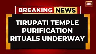 Tirumala Tirupati Temple Purification Rituals Begin Ahead of Brahmotsavam