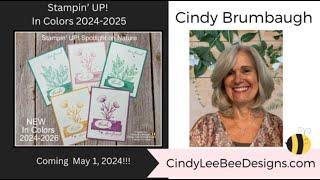 Stampin’ UP! 2024-2026 In Colors