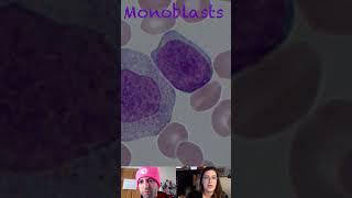 Monoblast Morphological Characteristics