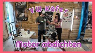 VW Käfer Motor abdichten |Ventile einschleifen |Lichtmaschine tauschen |1600 i |Simmerring |VCDS