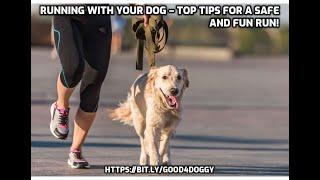 Running with Your Dog – Top Tips for a Safe and Fun Run!