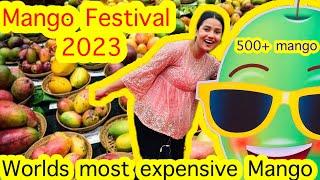 Mango festival Delhi haat Janakpuri, OMG itne sare mango ek sath dekhe #mango #mangofestival #vlog