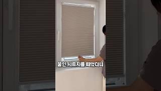 시트지 말고 무타공 블라인드 #창문블라인드 #인테리어커튼 #꿀템 #집꾸미기 #살림템추천