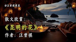 經典散文欣賞《昆明的花》作者：汪曾祺 #文學 #讀書 #閱讀 #asmr #曆史 #故事 #工作氛圍 #有聲書 #學習氛圍