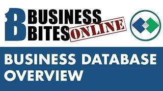 Business Bites Online: Business Database Overview