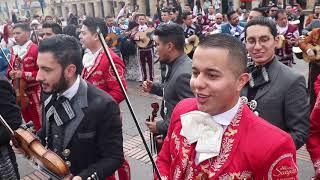 Plaza de Bolivar, FESTIVAL DEL MARIACHI EN COLOMBIA